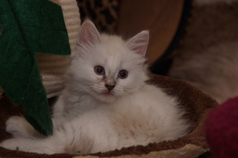 Sally am 13.7.2014